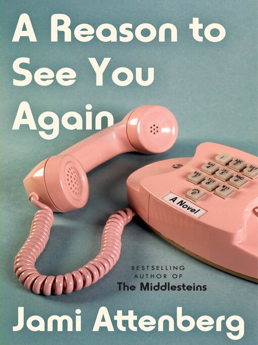 Title details for A Reason to See You Again by Jami Attenberg - Wait list